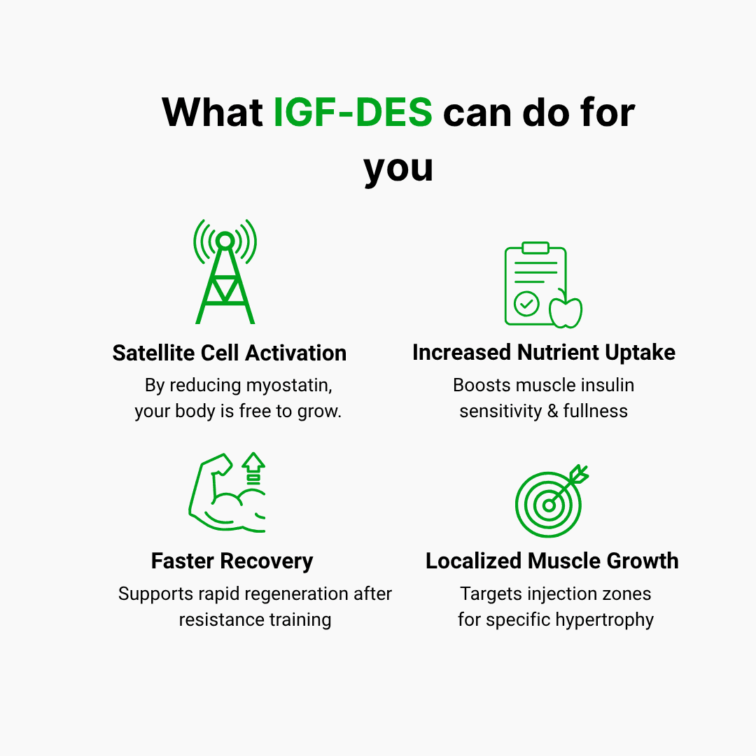 IGF-DES - additional thumbnail 4